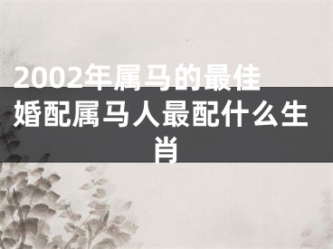 2002年属马的最佳婚配属马人最配什么生肖