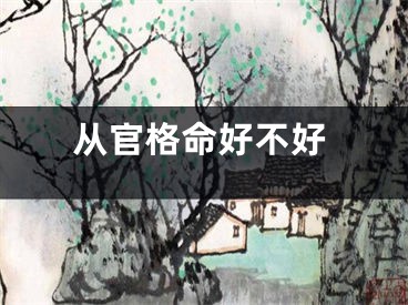 从官格命好不好