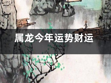 属龙今年运势财运
