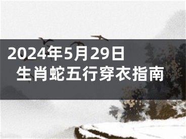 2024年5月29日生肖蛇五行穿衣指南