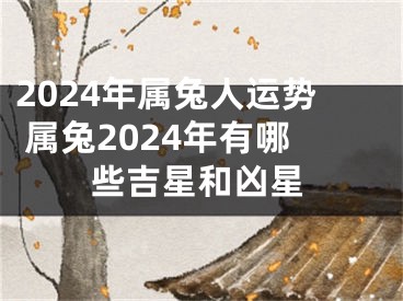 2024年属兔人运势 属兔2024年有哪些吉星和凶星