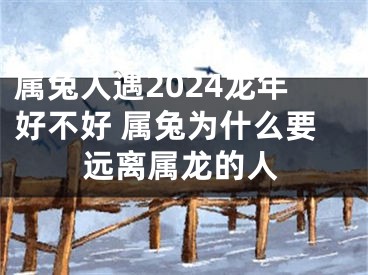 属兔人遇2024龙年好不好 属兔为什么要远离属龙的人