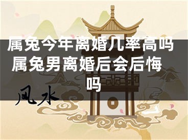 属兔今年离婚几率高吗 属兔男离婚后会后悔吗
