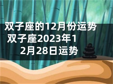 双子座的12月份运势 双子座2023年12月28日运势