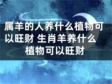 属羊的人养什么植物可以旺财 生肖羊养什么植物可以旺财