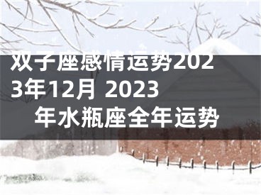 双子座感情运势2023年12月 2023年水瓶座全年运势