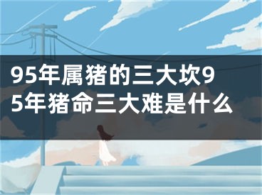 95年属猪的三大坎95年猪命三大难是什么