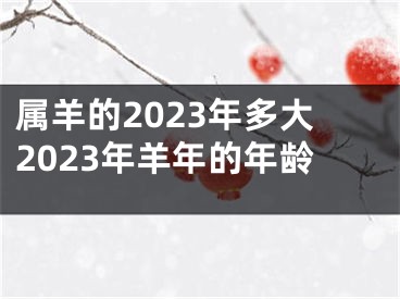 属羊的2023年多大2023年羊年的年龄