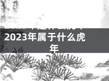 2023年是什么虎年2023年属于什么虎年