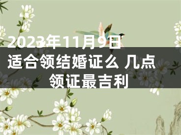 2023年11月9日适合领结婚证么 几点领证最吉利
