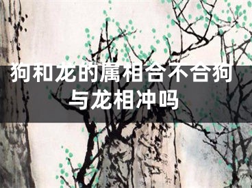 狗和龙的属相合不合狗与龙相冲吗