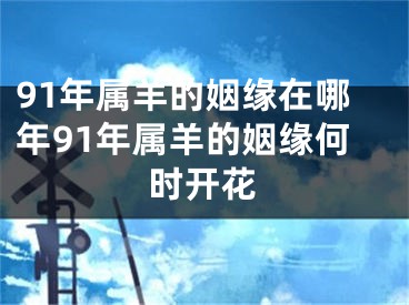91年属羊的姻缘在哪年91年属羊的姻缘何时开花