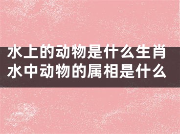 水上的动物是什么生肖水中动物的属相是什么