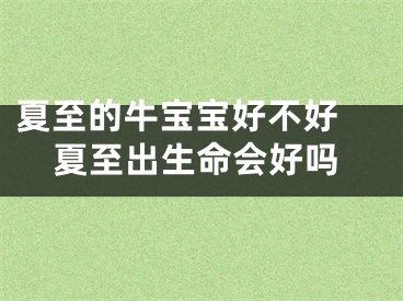夏至的牛宝宝好不好 夏至出生命会好吗