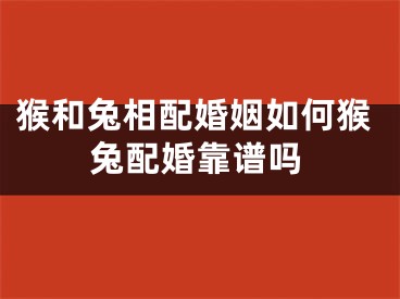 猴和兔相配婚姻如何猴兔配婚靠谱吗
