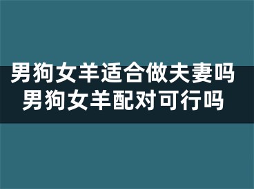 男狗女羊适合做夫妻吗男狗女羊配对可行吗