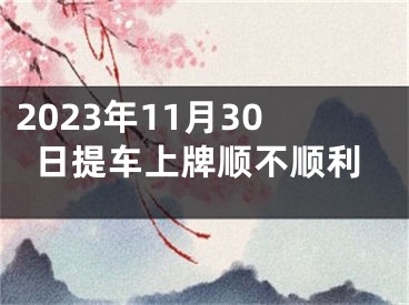2023年11月30日提车上牌顺不顺利