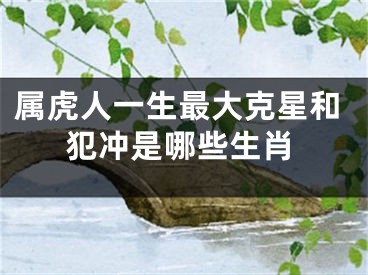 属虎人一生最大克星和犯冲是哪些生肖
