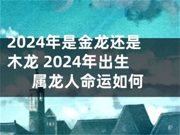 2024年是金龙还是木龙 2024年出生属龙人命运如何