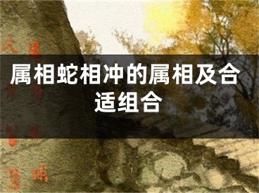 属相蛇相冲的属相及合适组合