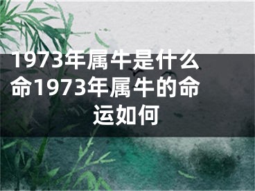 1973年属牛是什么命1973年属牛的命运如何