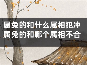 属兔的和什么属相犯冲属兔的和哪个属相不合
