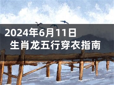 2024年6月11日生肖龙五行穿衣指南