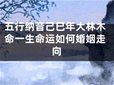 五行纳音己巳年大林木命一生命运如何婚姻走向