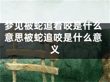 梦见被蛇追着咬是什么意思被蛇追咬是什么意义