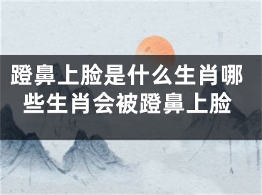 蹬鼻上脸是什么生肖哪些生肖会被蹬鼻上脸