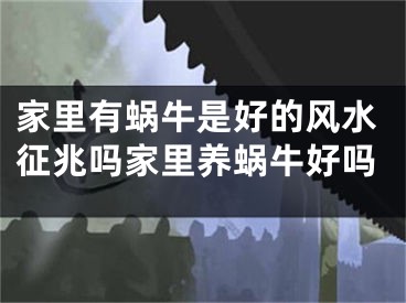 家里有蜗牛是好的风水征兆吗家里养蜗牛好吗