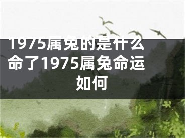 1975属兔的是什么命了1975属兔命运如何