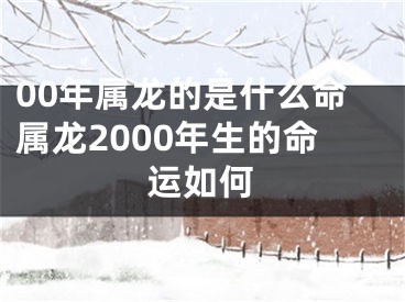 00年属龙的是什么命属龙2000年生的命运如何