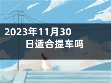 2023年11月30日适合提车吗