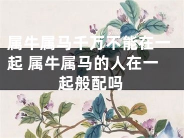 属牛属马千万不能在一起 属牛属马的人在一起般配吗