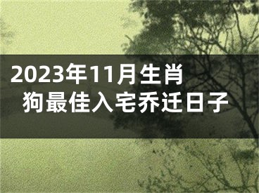 2023年11月生肖狗最佳入宅乔迁日子