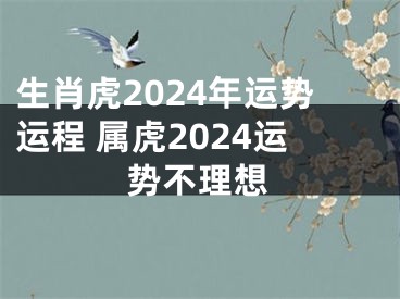生肖虎2024年运势运程 属虎2024运势不理想