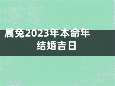 属兔2023年本命年结婚吉日