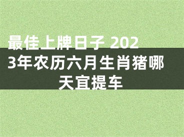 最佳上牌日子 2023年农历六月生肖猪哪天宜提车