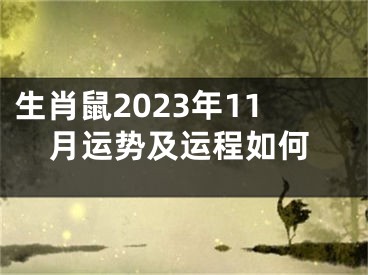 生肖鼠2023年11月运势及运程如何