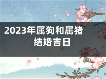 2023年属狗和属猪结婚吉日