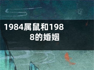 1984属鼠和1988的婚姻