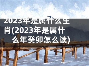 2023年是属什么生肖(2023年是属什么年癸卯怎么读)