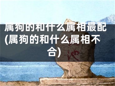 属狗的和什么属相最配(属狗的和什么属相不合)