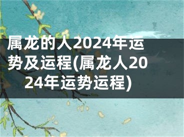 属龙的人2024年运势及运程(属龙人2024年运势运程)