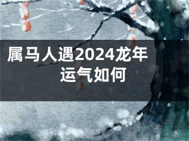 属马人遇2024龙年运气如何