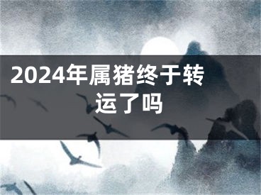 2024年属猪终于转运了吗