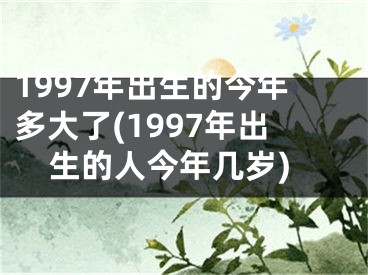 1997年出生的今年多大了(1997年出生的人今年几岁)
