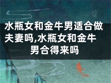 水瓶女和金牛男适合做夫妻吗,水瓶女和金牛男合得来吗