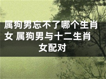 属狗男忘不了哪个生肖女 属狗男与十二生肖女配对